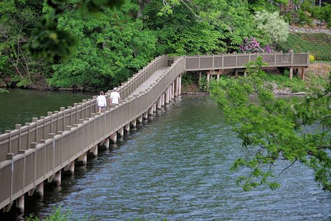 Accessible Hike Asheville Asheville Hikes, Lake Junaluska, North Carolina Travel, East Coast Road Trip, Pisgah National Forest, Nc Mountains, North Carolina Mountains, Hiking Spots, Wheelchair Accessible