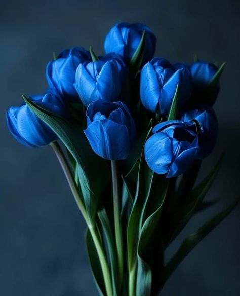 Blue Tulips Aesthetic, Iphone Wallpaper Lights, Blue Things, Favourite Flowers, Iphone Wallpaper Kawaii, Boquette Flowers, Blue Tulips, Kpop Quotes, Nothing But Flowers