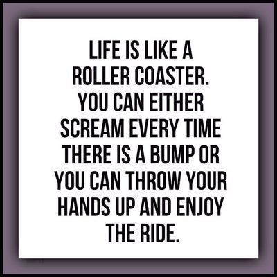 "Life is like a roller coaster. You can either scream every time there is a bump or you can throw your hands up and enjoy the ride." Coaching Quotes, Enjoy The Ride, Funny Life, E Card, Quotable Quotes, Life Advice, A Quote, Roller Coaster, Inspiring Quotes