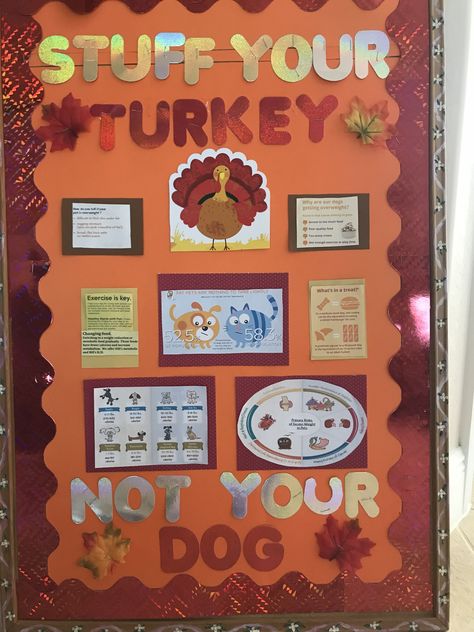 Pet educational board for November Vet Bulletin Board Ideas, Veterinarian Office Decor, Veterinary Bulletin Board Ideas, Vet Clinic Bulletin Board Ideas, Veterinary Clinic Ideas, Veterinary Decor, Vet Decor, Dogs Crafts, Veterinarian Medicine