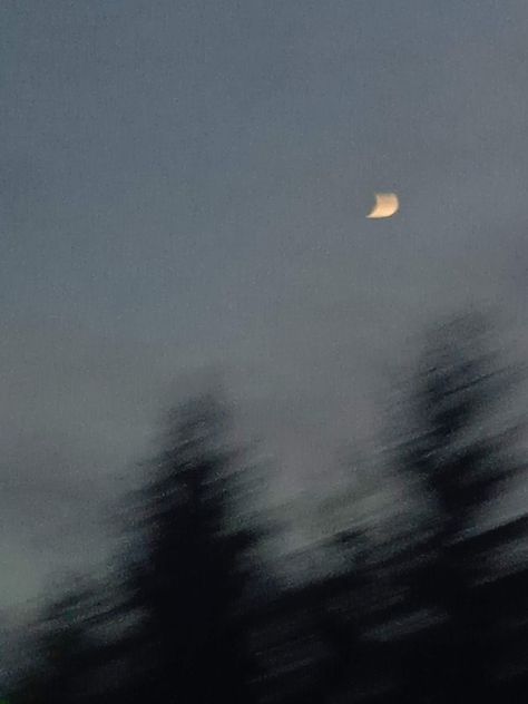 Blurry night sky with moon and trees Blurry Moon Aesthetic, Moon Blurry Aesthetic, Grunge Scenery, Night Sky With Moon, Moon And Trees, Blurry Night, Blurry Aesthetic, Blurry Pictures, Sky Pictures