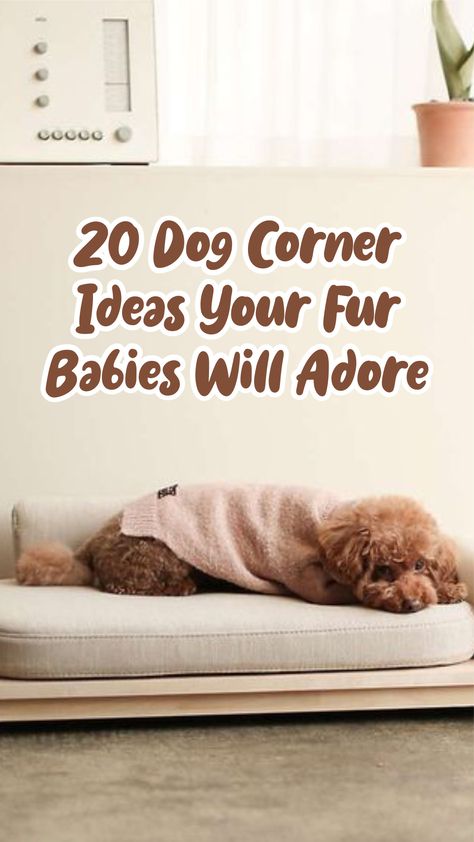 Dog Bed Decor Spaces, Dog Bed Corner In Bedroom, Pet Bed In Bedroom, Dog Space Apartment, Dog Beds Ideas, Small Dog Home Ideas, Diy Dog Corner Ideas, Dog Area Living Room, Dog Bed In Living Room Ideas