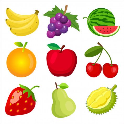 Set of fruits for children learning words and vocabulary. Premium Vector | Premium Vector #Freepik #vector #baby #card #book #kids Nature Logo Design, Fruit Icons, Fruit Cartoon, Fruit Vector, Modern Business Cards Design, Fruits Images, Shop Logo Design, Toddler Learning Activities, Modern Business Cards