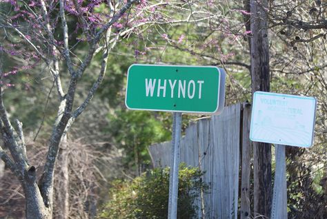 Origins of Weird Town Names from Our State: Photo courtesy of Richard Schoenberger, Manor House Graphics Weird Town Names, Weird Town, Town Names, North Carolina Homes, Manor House, High Point, Highway Signs, North Carolina