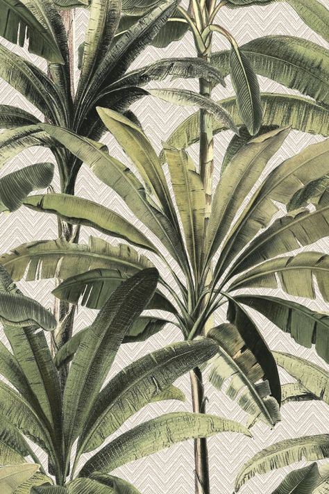 Palmera — Arte African Jungle, Tropical Luxury, Luxury Wallpaper, Wallpaper Calculator, London Art, Wallpaper Samples, Of Wallpaper, Cool Wallpaper, Textures Patterns