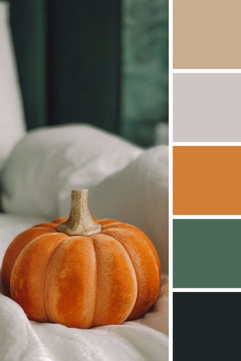 Autumn Color Combination | Beatiful Colors Scheme | Pumpkin Green Palette Ideas Pumpkin Color Palette, Autmn Colors, Apothecary Room, Fall Interior Design, Orange Color Combinations, Rustic Color Palettes, Fall Color Schemes, Orange Color Schemes, Website Color Palette