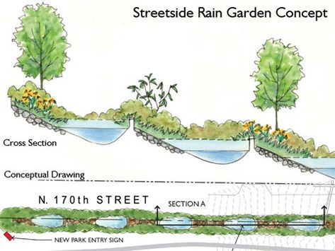 Street Side Rain Garden Concept Water From Air, Conceptual Drawing, Permaculture Design, Rainwater Harvesting, Dry Creek, Water Management, Rain Garden, Winter Garden, Urban Landscape