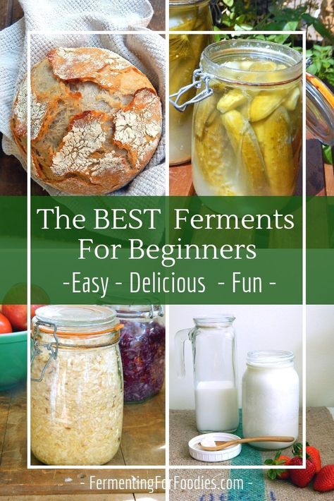 Fermenting Vegetables, Fermented Vegetables Recipes, Plat Vegan, Fermented Veggies, Fermented Pickles, Fermentation Recipes, Fermented Vegetables, Fermented Drink, Probiotic Foods