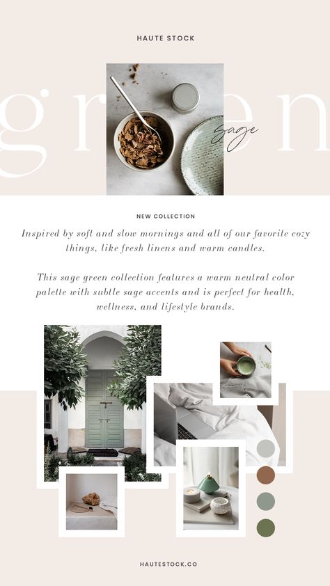 Sage Website Design, Sage Green Website Design, Sage Green Instagram Feed, Sage Green Website, Health And Wellness Color Palette, Dark Green Branding, Wellness Branding Design, Sage Green Mood Board, Sage Green Branding