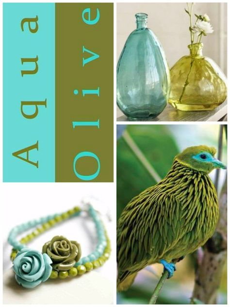 Aqua and Olive By Sammie R Olive And Aqua Color Palette, Olive And Turquoise Color Palette, Olive And Teal Color Scheme, Olive Green Colour Combinations, Color Palette Circle, Green And Teal Color Palette, Color Palette Clothes, Color Palette Emerald Green, Olive Green Rooms