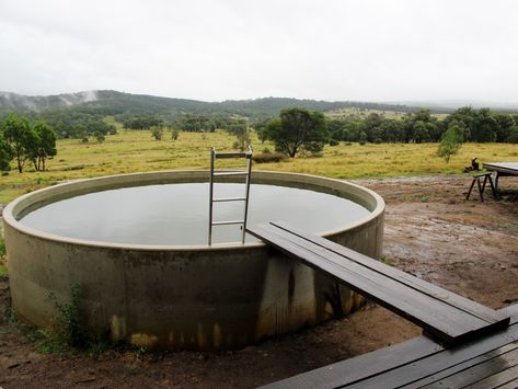 Round Pools, Natural Ponds, Swimming Ponds, Round Pool, Swimming Pond, Natural Pond, Australia Photos, Natural Swimming Pools, Natural Pool