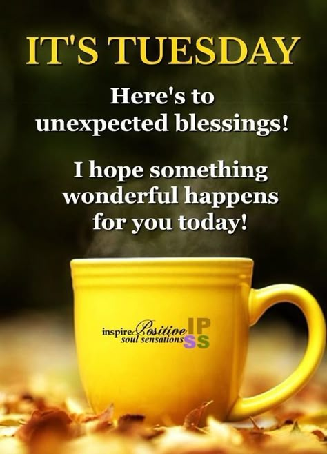 It's Tuesday. Here's to unexpected blessings! day days tuesday tuesday quotes happy tuesday tuesday quote its tuesday Morning Quotes Tuesday, Tuesday Morning Wishes, Good Morning Tuesday Wishes, Tuesday Morning Quotes, Tuesday Motivation Quotes, Thursday Wishes, Tuesday Wishes, Thursday Morning Quotes, Unexpected Blessings