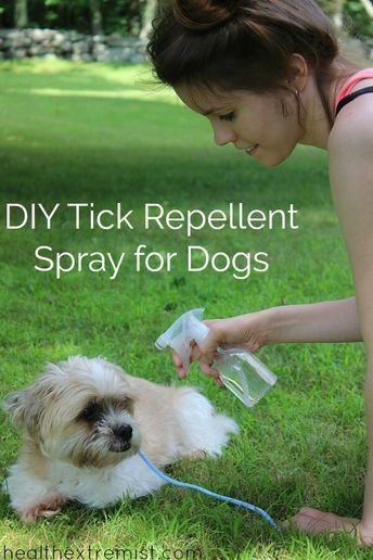 Diy Tick Repellent, Tick Repellant, Homemade Tick Repellent, Tick Repellent For Dogs, Tick Spray For Dogs, Dogs Eyes, Essential Oils Dogs, Flea And Tick Spray, Ticks On Dogs