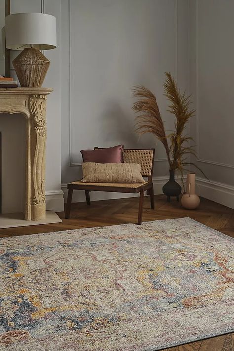 rug Multicoloured Rug, Arm Chair Table, Garden Bedroom, Medallion Rug, Salon Style, Ombre Effect, Distressed Rugs, Natural Rug, Traditional Rugs