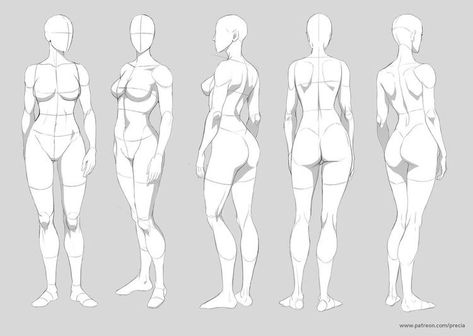 Figure Drawing Female, Basic Anatomy, Male Figure Drawing, Character Design Cartoon, Body Sketches, Human Figure Drawing, Anatomy For Artists, Female Anatomy, Poses References