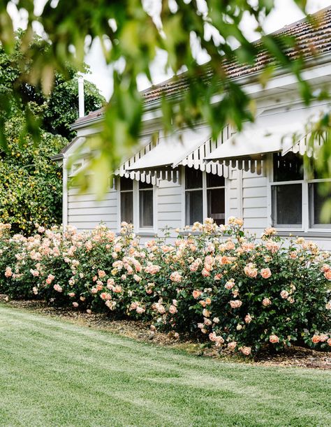 Australian Country Gardens Farms, Australian Farmhouse Garden, Cottage Garden Australian, Australian Garden Ideas, Country Garden Australian, Cottage Front Garden, Reno House, Rose Garden Design, Australian Native Garden