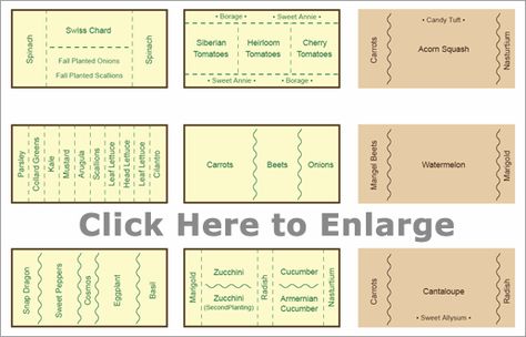 Companion planting means putting plants together in the garden that like each other, or help each other out Planting Chart, Companion Planting Chart, Companion Gardening, Garden Companion Planting, Growing Tomatoes In Containers, Garden Veggies, Veg Garden, Square Foot Gardening, Homestead Survival