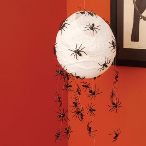 Long legged spider Spider Nest, Festa Hotel Transylvania, Halloween Living Room Decor, Halloween Craft Activities, Harvest Theme, Halloween Living Room, Halloween Arts And Crafts, Fun Halloween Decor, Spider Webs