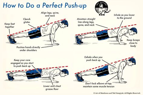 How to Do a Perfect Push-Up | The Art of Manliness Perfect Pushup, Push Up Workout, Art Of Manliness, Chest Workouts, Muscle Tension, Back Workout, Calisthenics, Full Body Workout, Body Weight