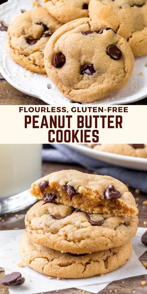 These peanut butter cookies are super soft and chewy. They're made with only a few simple ingredients and are completely gluten free. #flourless #glutenfree #peanutbutter #cookies from Just So Tasty Gluten Free Peanut Butter Cookies Recipe, Gluten Free Dairy Free Cookies, Gluten Free Peanut Butter Cookies, Flourless Peanut Butter Cookies, Butter Cookie Recipe, Dairy Free Cookies, Easy Peanut Butter Cookies, Gluten Free Peanut Butter, Peanut Butter Cookie