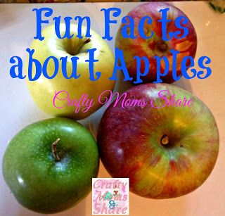 Crafty Moms Share: Fun Facts about Apples -- with Apple Craft Round-Up Apple Facts, Apple Ideas, Weekly Themes, Apple Craft, Lunch Room, Crafty Moms, Family Activities, Family Life, Facts About