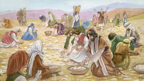 Book Of Joshua, Old Testament Bible, Bible Pictures, God Will Provide, The Tabernacle, Jesus Is Coming, Promised Land, Jesus Resurrection, Bible Reading Plan