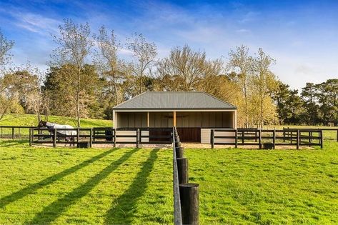 Small Acreage Horse Farm, Paddock Shelter, Paddock Ideas, Horse Paddocks, Horse Farm Layout, Pasture Shelter, Horse Shelters, Small Horse Barns, Stable Yard