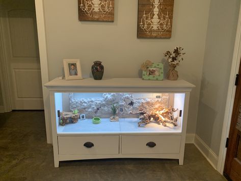 Dresser Tortoise Habitat, Diy Reptile Enclosure Dresser, Bearded Dragon Terrarium In Living Room, Reptile Enclosure In Bedroom, Bearded Dragon Enclosure Ideas Dresser, Bedroom With Reptile Tank, Diy Beardie Enclosure, Dresser Reptile Enclosure, Diy Bearded Dragon Enclosure Tv Stand