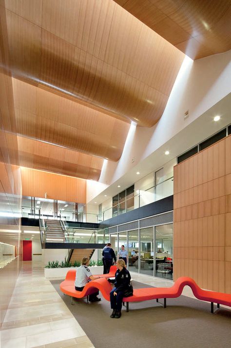 Bayside Police Station / FJMT Office Ceiling, Timber Ceiling, Grey Office, Coffee Shop Bar, White Slides, Virtual Office, Police Station, Fire Station, Interior Projects