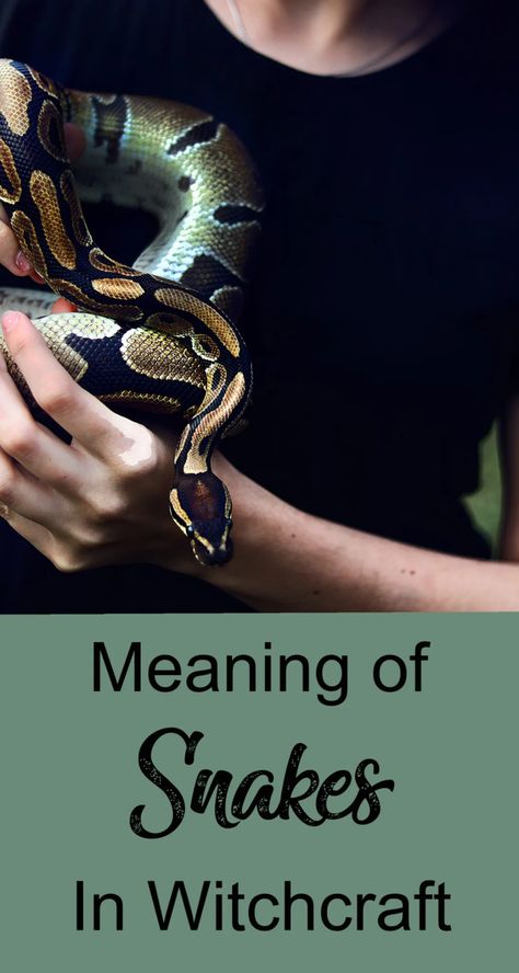 Serpent & Sorceress: Meaning of Snakes in Witchcraft - Moody Moons Witchy Snake Tattoo, Snake Priestess, Snake Energy, Spiral Meaning, Serpent Symbolism, Kundalini Awakening Symptoms, Kundalini Tattoo, Snake Witch, Snake Meaning