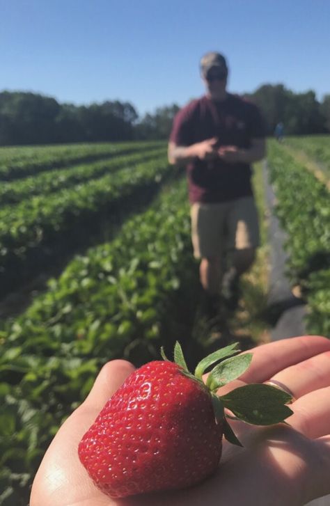 Summer date • strawberry picking Strawberry Picking Pictures Couple, Strawberry Picking Date, Strawberry Picking Photography, Strawberry Picking Pictures, Date Ideas For Parents, Abc Dates, Relationship Standards, Date Ideas For Married Couples, Ideas For Married Couples