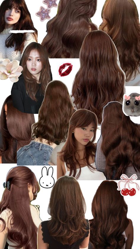 Chococolate Copper Cinnamon Honey Brown Hair Dye Inspo Korean Copper Brown Hair, Light Brown Mocha Hair Color, Dark Copper Ginger Hair, Cinnamon Brown Hair Colour, Dark Orange Brown Hair Color, Warmer Brown Hair, Brown Hair Dye Inspiration, Cherry Brown Hair With Blonde Highlights, Peakaboo Dye Natural Hair Brown