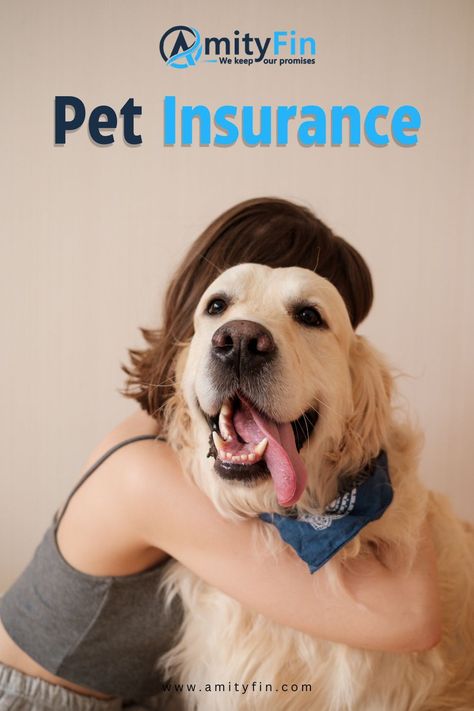 Pet insurance give you proper safety Pet Insurance, Digital Marketing Agency, Life Insurance, Marketing Agency, Insurance, Digital Marketing, Pet, Marketing, Quick Saves