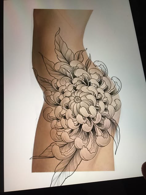 Crysanthemum Tattoo Thigh, Chrysanthemum Side Tattoo, Chrysanthemum Tattoo Hip, Chrisantem Tattoo, Chrisantemum Tattoo, Crysanthemum Tattoo Design, Japanese Chrysanthemum Tattoo Design, Chrisantemum Flower Tattoo, Crysthanamum Tattoo