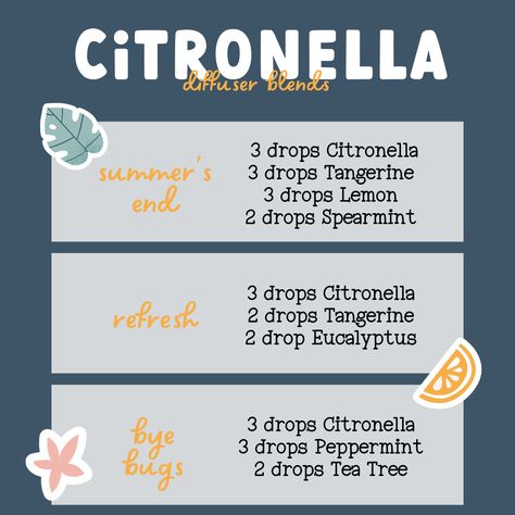 Citronella Diffuser Blend, Citronella Essential Oil Blends, Diy Citronella, Doterra Diffuser, Citronella Essential Oil, Citronella Oil, Young Living Oils, Make Beauty, Oil Blends