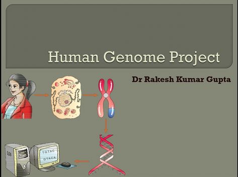 All about Human Genome Project: Link mentioned below Human Genome Project, Law Notes, Human Genome, The History, Medical, History, Human