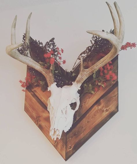 12 European Mount Ideas for Your Home - Beautiful Dawn Designs European Mount Ideas, Deer Mount Decor, Dear Antlers, Deer Mount Ideas, European Mounts, Deer Skull Mount, Antler Ideas, Antler Mount, Deer Antler Decor