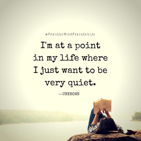 #inspirationalquote #quietquote Straight Quotes, Genuine People Quotes, Normal People Quotes, Normal Quotes, Quiet Quotes, Peaceful Mind Peaceful Life, Stay Quiet, Bubble Quotes, Peaceful Mind