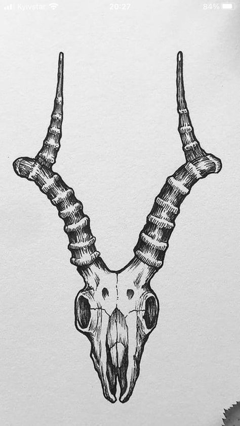 Longhorn Skeleton Tattoo, Horned Goat Tattoo, Antelope Skull Drawing, Cow Skull Reference, Impala Tattoo Animal, Gazelle Skull Tattoo, Ramskull Tattoo Design, Horned Skull Tattoo, Deer Skull Side View