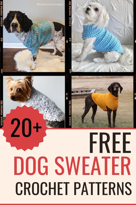 free crochet patterns for dog sweaters Crochet Pet Sweaters Dog Coats, Crochet Dog Sweater Xxl, Free Dog Sweater Crochet Patterns, Xl Dog Sweater Crochet Pattern, Crochet Dog Shirt Free Pattern, Crochet Pitbull Sweater Free Pattern, Crochet Puppy Pattern Free Dog Sweaters, Crochet Dog Outfits Free Pattern, Free Crochet Patterns For Dog Clothes