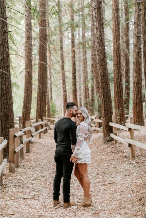 Sequoia National Park Photography Couple, Couples In The Woods, Redwoods Couples Shoot, Engagement Photos Oak Trees, Pine Tree Couple Photoshoot, Redwoods Engagement Photos, Redwood Engagement Photos, Engagement Photos Trees, Redwood Photoshoot