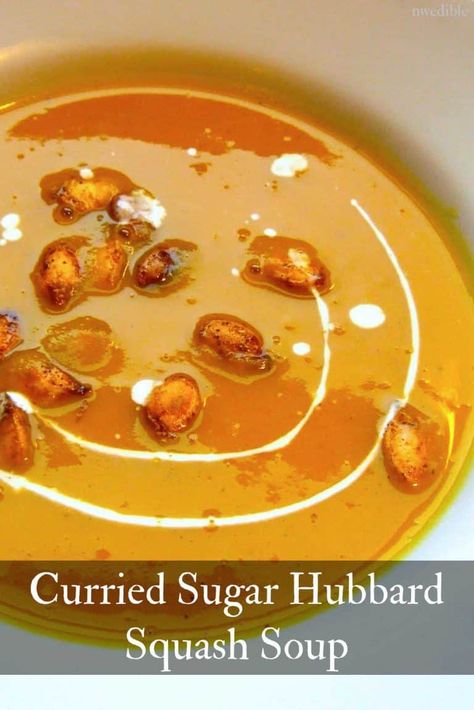 Hubbard Squash Soup Recipe, Hubbard Squash Soup, Hubbard Squash Recipes, Hubbard Squash, Creamy Soups, Vinegar Chicken, Squash Puree, Pureed Soup, Fall Foods