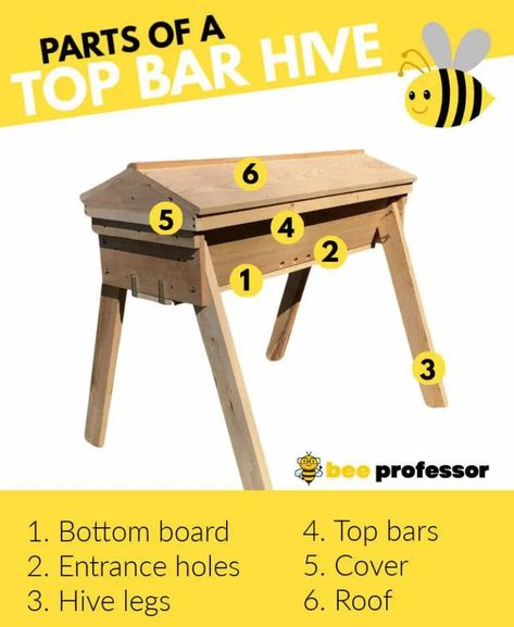 What Is A Top Bar Hive? A Beekeeper's Guide 2023 Bee Professor Top Bar Bee Hive, Bee Yard, Harvesting Honey, Top Bar Hive, Bar Top, Bee Keeping, Pros And Cons, Bee Hive, Bee