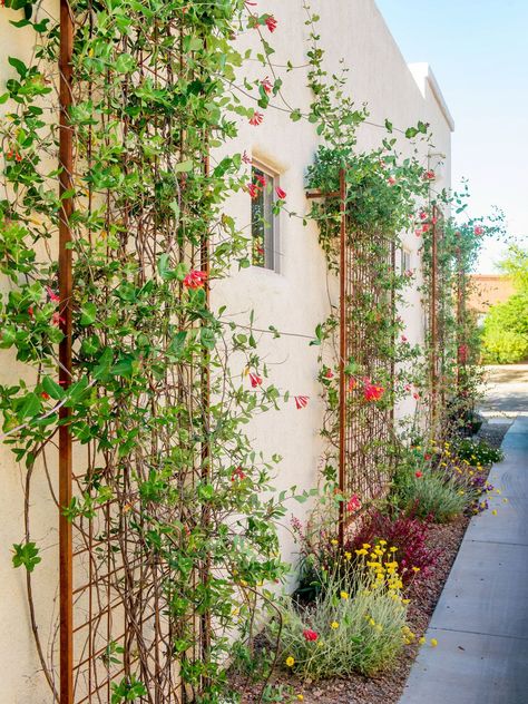 Front Door Trellis, Wall Mounted Trellis, Door Trellis, Large Trellis, Vine Trellis, Wall Trellis, Flower Trellis, Clematis Plants, White Trellis