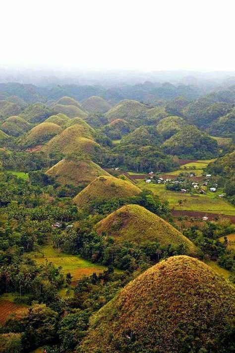 The Chocolate Hills in Carmen, Bohol. www.ancient-origins.net  https://www.facebook.com/ancientoriginsweb/photos/a.595116573862624.1073741825.530869733620642/1811237538917182/?type=3 Foto Scale, Philippines Vacation, Chocolate Hills, Visit Philippines, Bohol Philippines, Bohol, Philippines Travel, Tourist Spots, Asia Travel