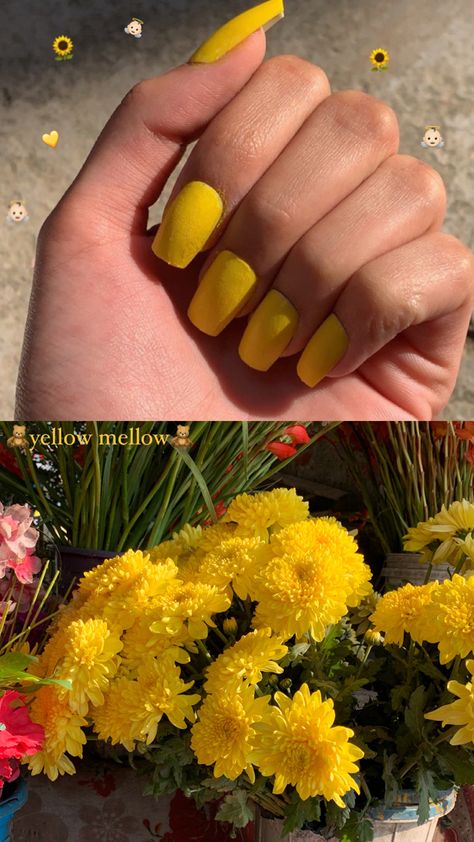 Haldi Asthetic Pictures, Haldi Story Ideas, Haldi Instagram Story Ideas, Haldi Snapchat Story, Caption For Haldi Pics, Haldi Captions For Instagram, Dry Skin Makeup, Instagram Editing Apps, Instagram Collage