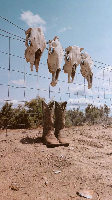 Western Still Life Photography, Neo Western Aesthetic, Hitchhiking Aesthetic, Country Boots Aesthetic, Western Product Photography, Hillbilly Aesthetic, Modern Cowgirl Aesthetic, Rodeo Aesthetic Wallpaper, Blue Western Aesthetic