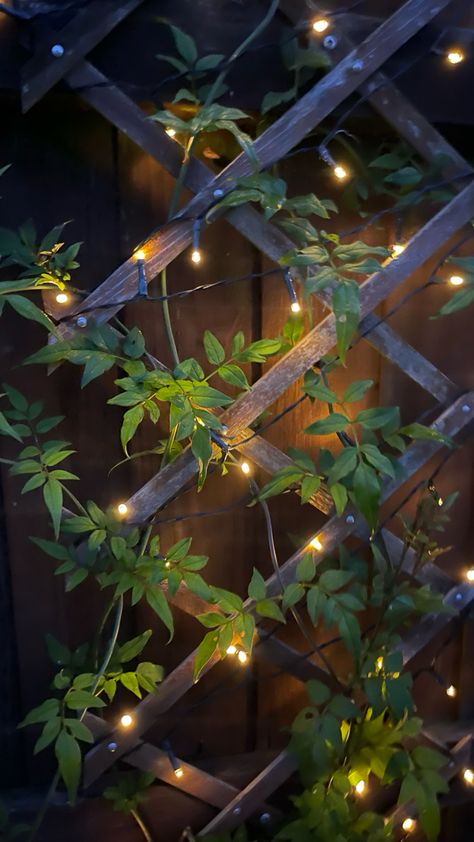 Garden fairy lights with climbing jasmine Fairy Lights Terrace, Fairy Lights Plants, Small Garden Decoration Ideas Diy, Firefly Garden Lights, Balcony Fairy Lights, Fenceline Garden, Fairy Lights Outside, Fairy Lights Patio, Plantas Aesthetic