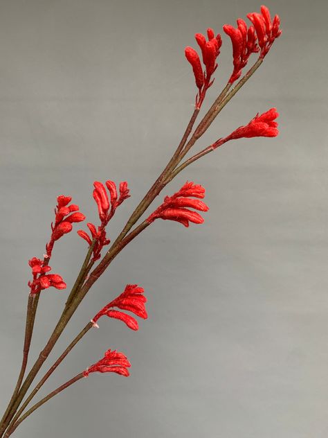 "39 \" Anigozanthos manglesii, commonly known as the red-and-green kangaroo paw, Mangles kangaroo paw, Kurulbrang flower branch Artificial Faux Flower Single Stem large Full blossom  Exquisite delicate detail The flower is unique to Australia" Red Kangaroo Paw, Kangaroo Paw Drawing, Wired Bouquet, Kangaroo Paw Plant, Presentation Bouquet, Kangaroo Paw Flower, Australian Botanicals, Flowers Australia, Paw Art