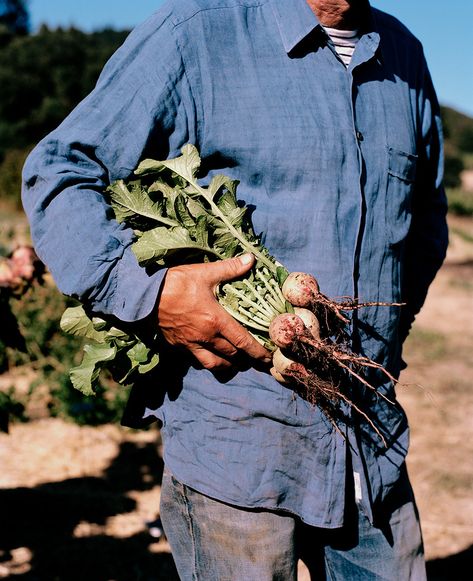 Laying On The Ground, Farm Photography, Martha Stewart Living, Park Photography, The Shed, Garden Photography, Art Books, Grasses, The Farm